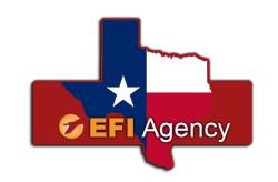EFI Agency